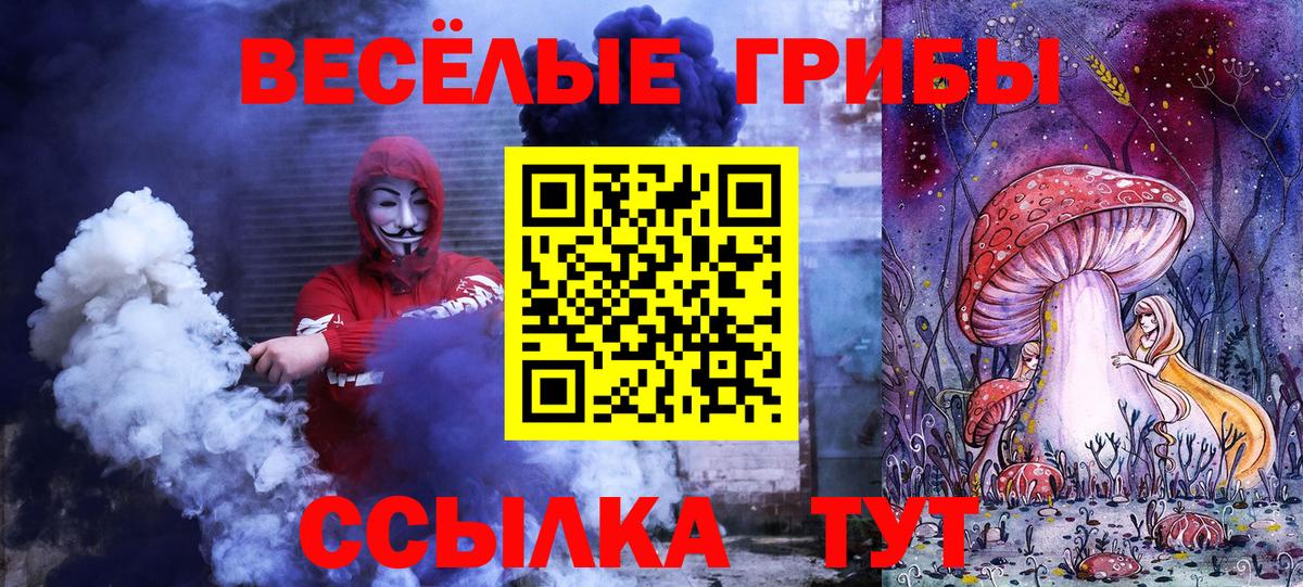 где купить наркоту  Вход с VPN  Артём  Псилоцибиновые грибы Psilocybine cubensis 